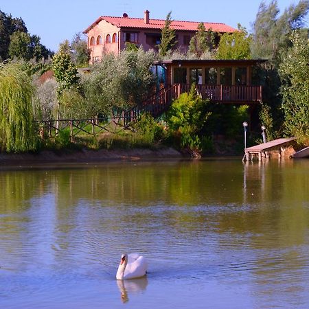 Agriturismo Cameli Certaldo Eksteriør bilde